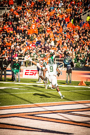 2013 Illini Football vs MSU-24