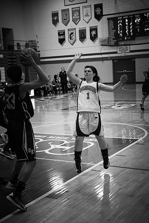 2013 LCHS Girls Basketball vs Southeast-71