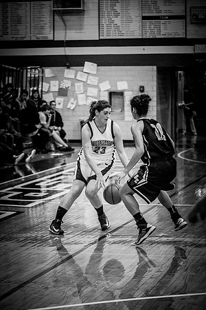 2013 LCHS Girls Basketball vs Southeast-53