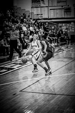 2013 LCHS Girls Basketball vs Southeast-51